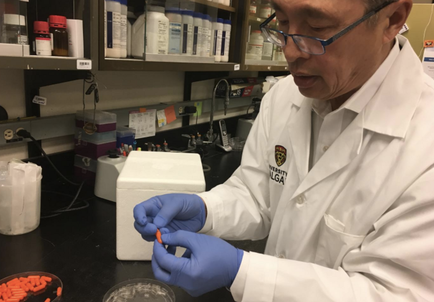 This is Dr. Thomas Louie with the fecal transplant capsules. / Credit: Cumming School of Medicine