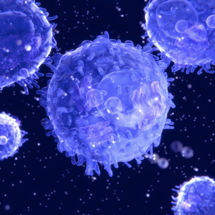 An image of T Cells / Credit: NASA/JSC Features