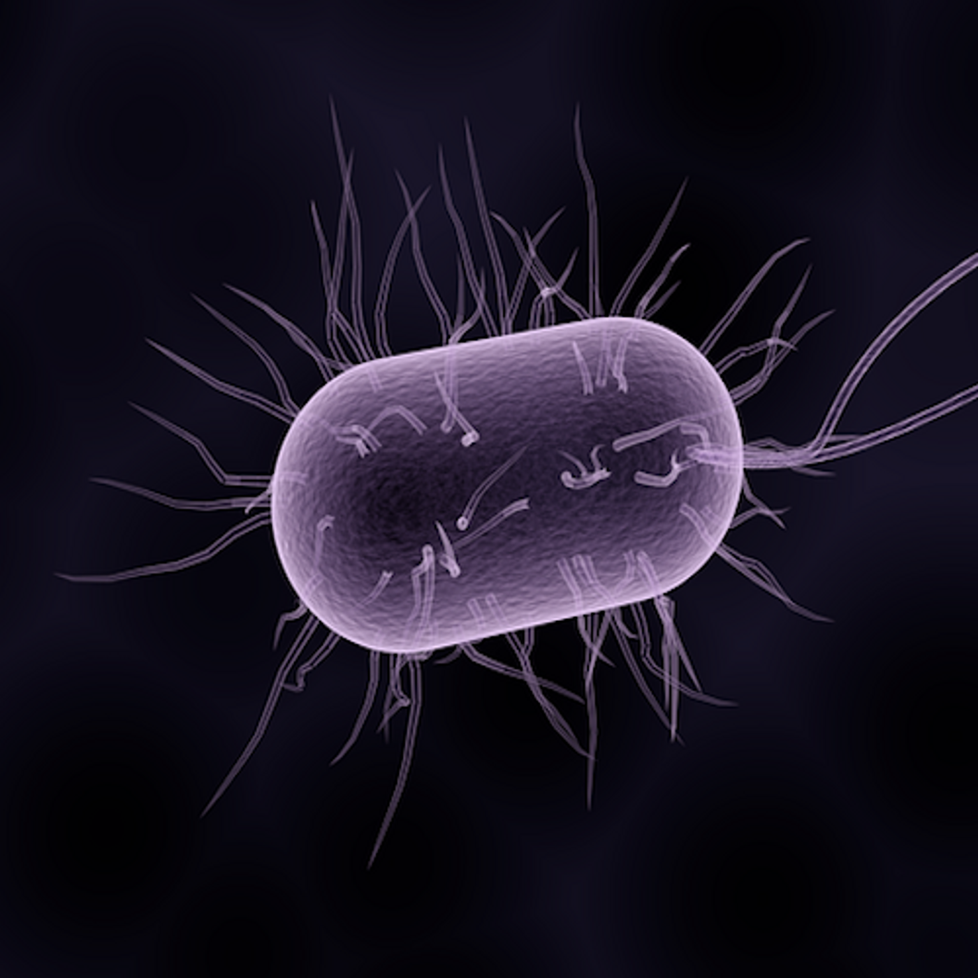 Some microbes can report on their environment. Now, scientists have made them 'remember' the event. / Image credit: Pixabay
