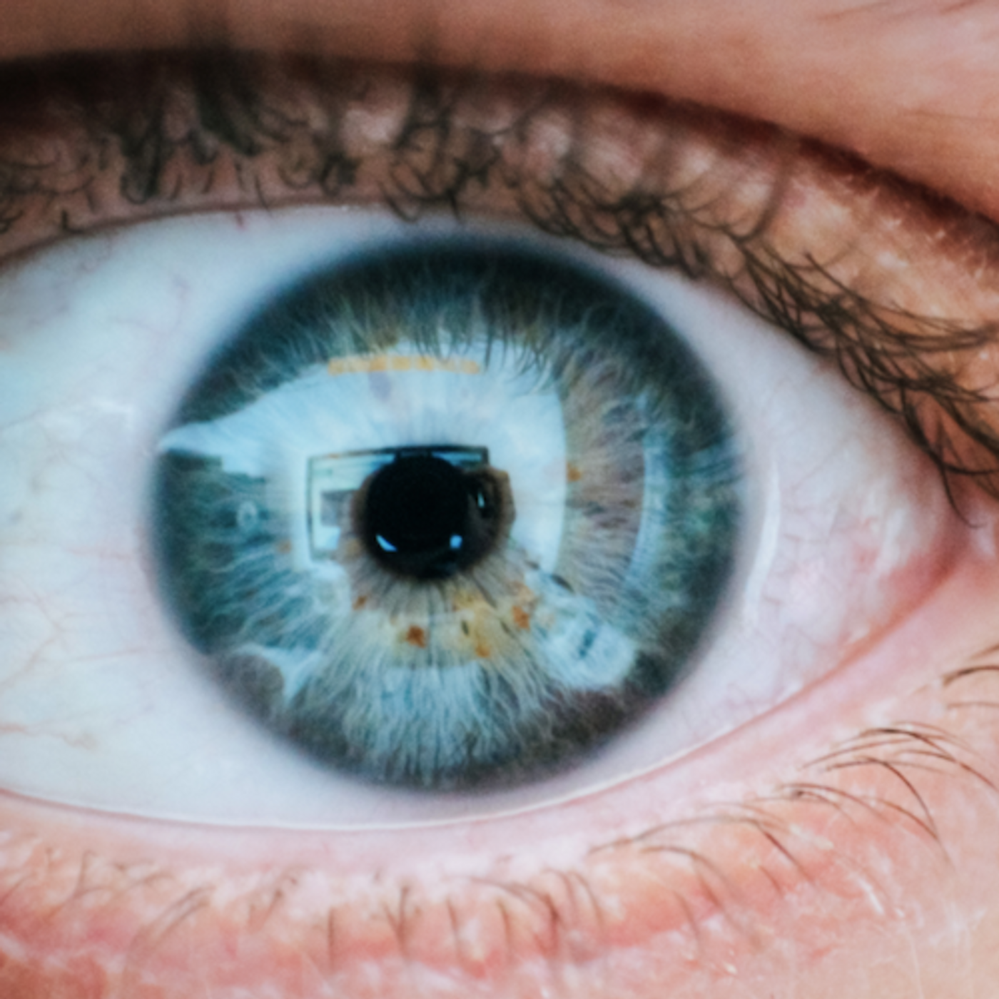 New work may lead to treatments for diseases as varied as dry eye and type 2 diabetes. / Image credit: Pexels