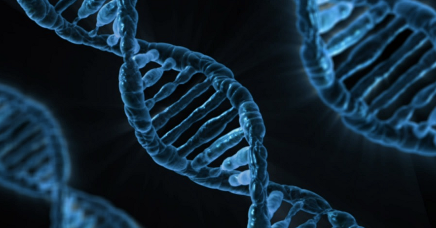 Genetic techniques have shown that many forensics methods are flawed. / Image credit: Pixabay