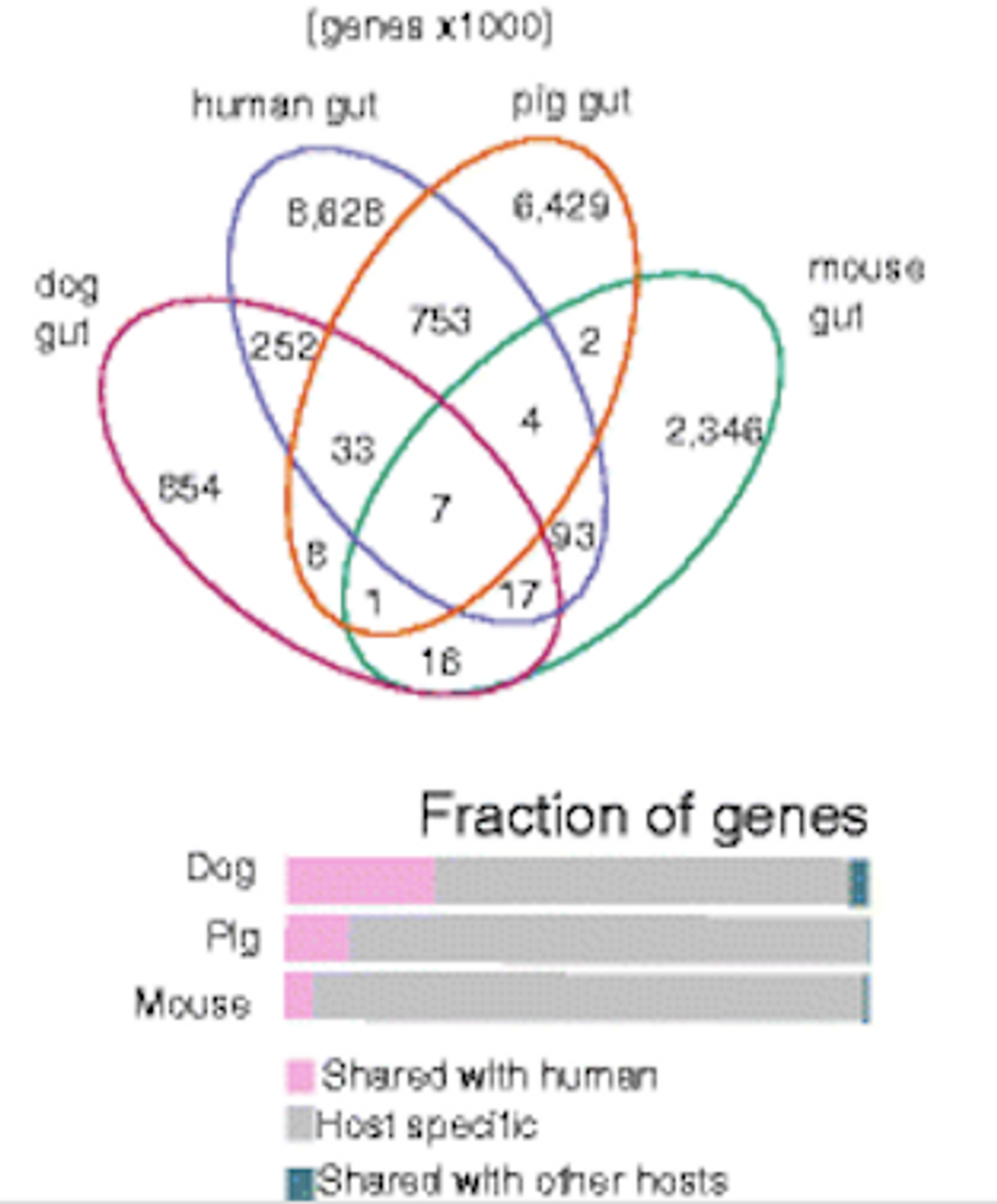 A diagram illustrating overlap in bacterial genes carried by different animals. / Image credit: Coelho et al Microbiome 2018