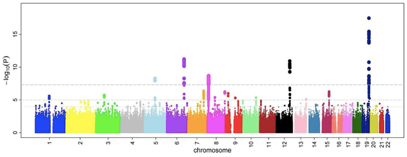 A Manhattan plot, a typical part of GWAS analysis. / Image credit: Ikram MK et al (2010) PLOS Genetics