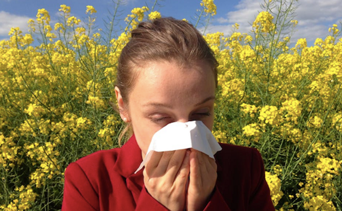Chronic allergies can have long-term complications / Image credit: Pexels