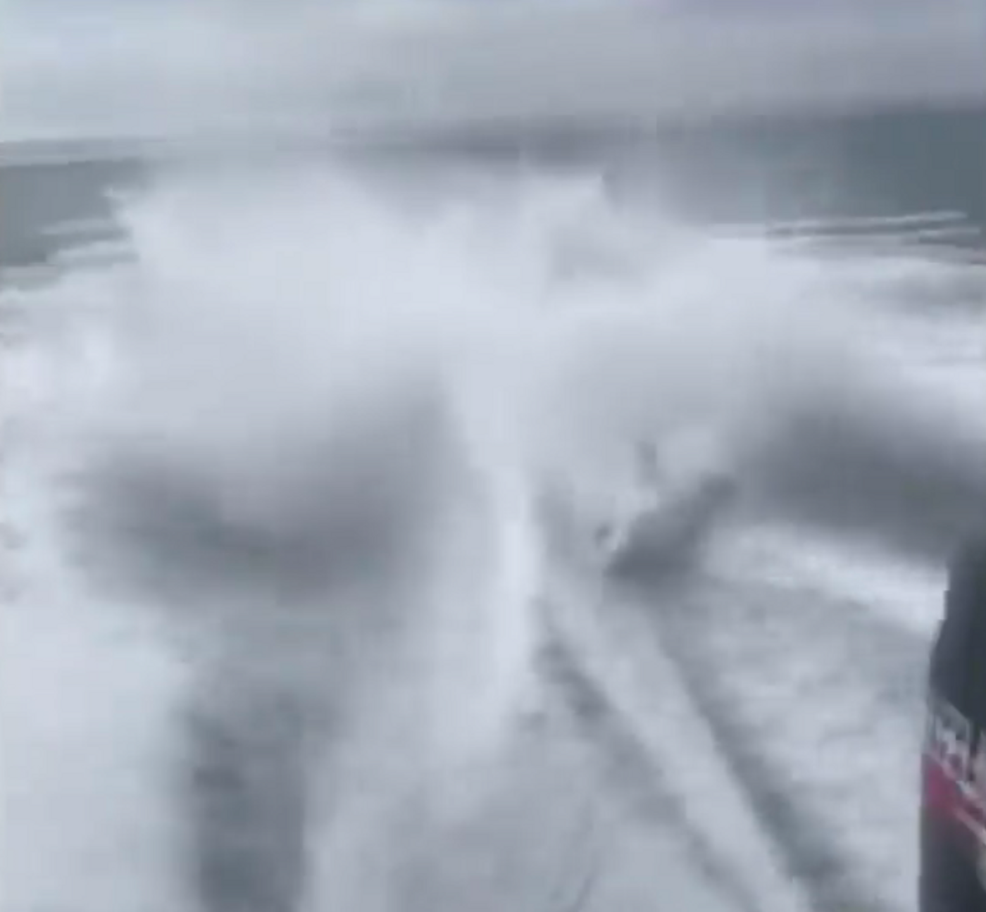 A shark tied to the back of a high-speed boat in Florida flops around.