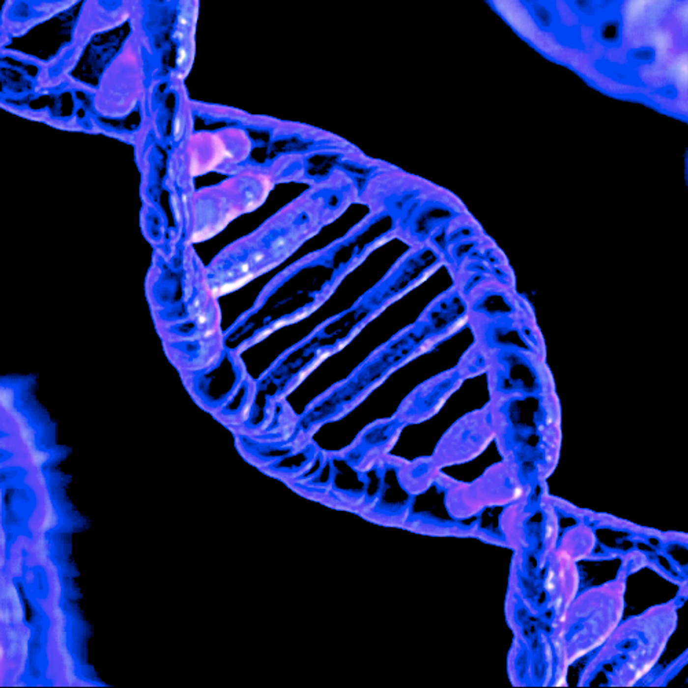 Genetic modifications can have a big influence on gene expression. / Image credit: Pixabay