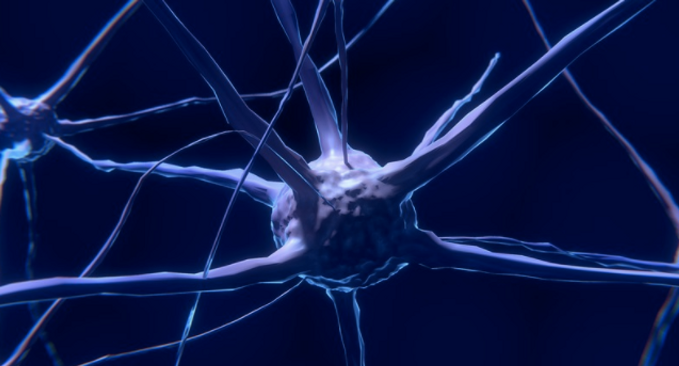 A visualization of a neuron / Credit: Pixabay