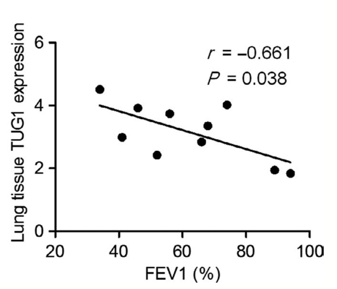 Higher TUG1 expression is seen to be correlated with a lower FEV1 value, indicating TUG1 higher expression associated with a common determiner of COPD