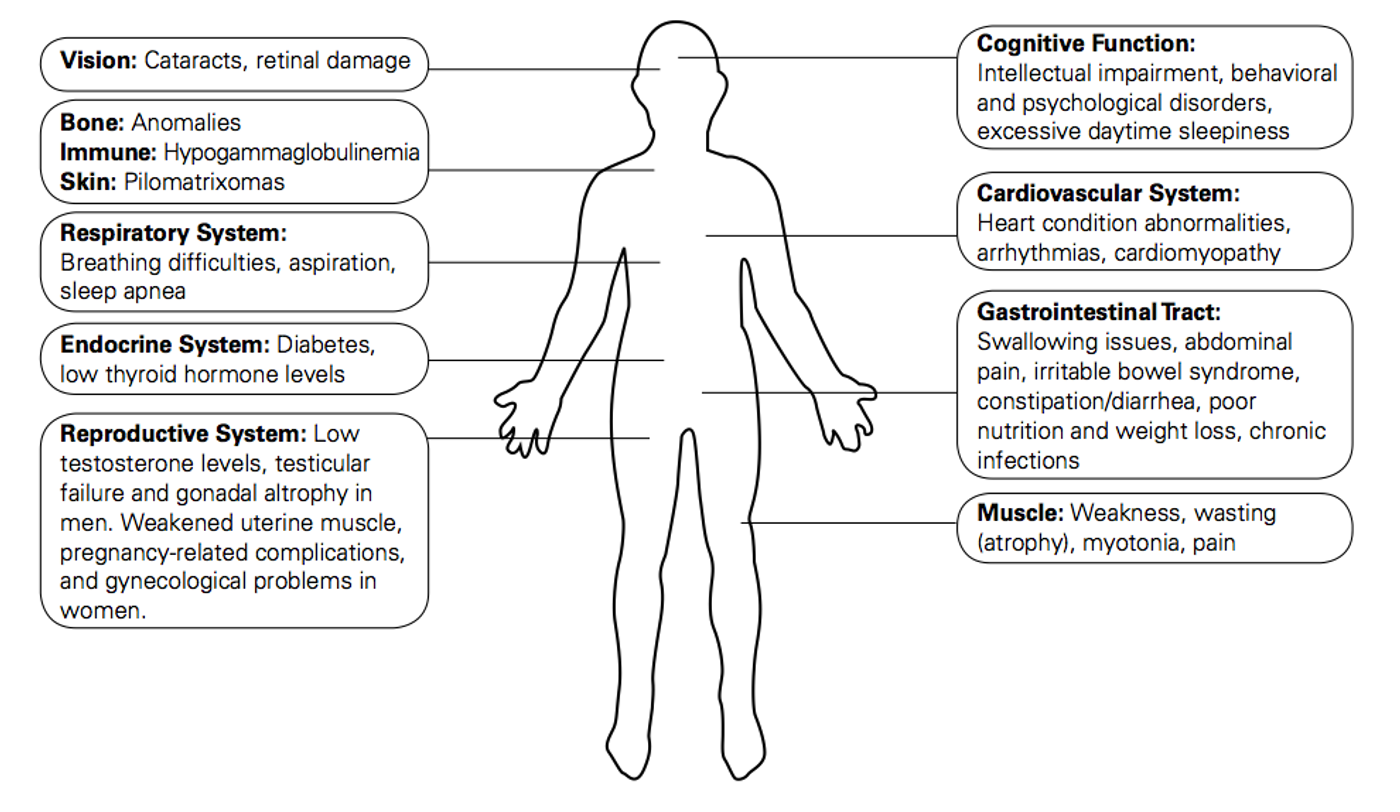 Symptoms of DM - via www.geneticdisorders.info