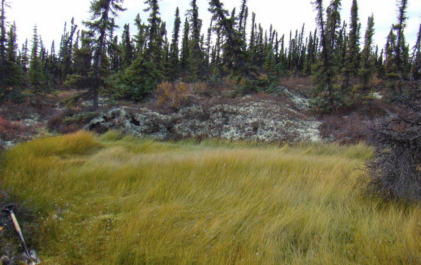  Thawing Permafrost, Alaska / Image credit: USGS/ Florence Bascom Geoscience Center 