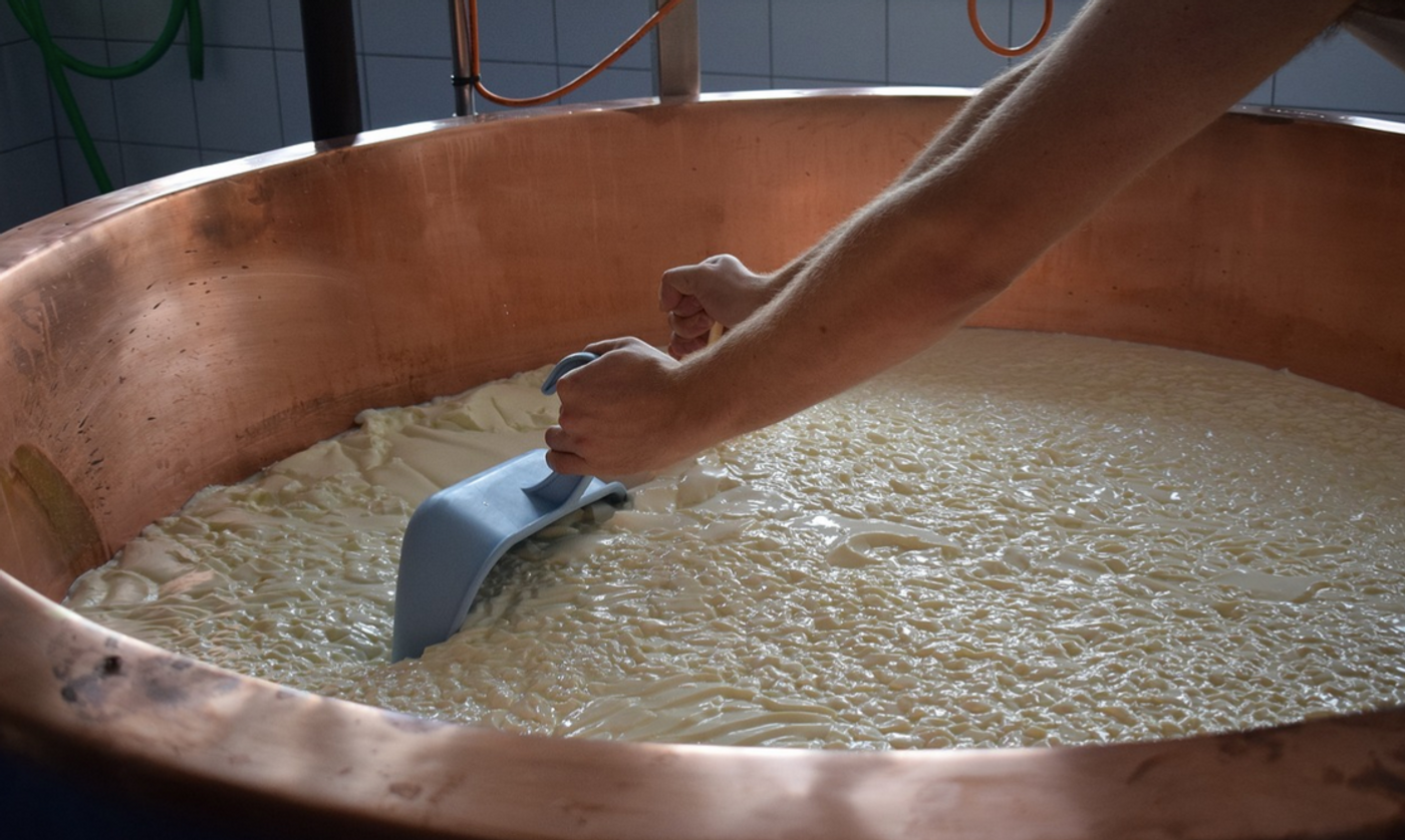 Cheesemaking / Image credit: Pixabay