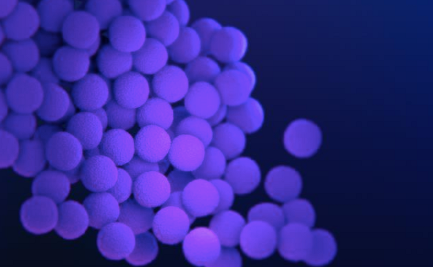 Enterococci sp. bacteria / Credit: CDC/ Antibiotic Resistance Coordination and Strategy Unit / Medical Illustrator: Jennifer Oosthuizen