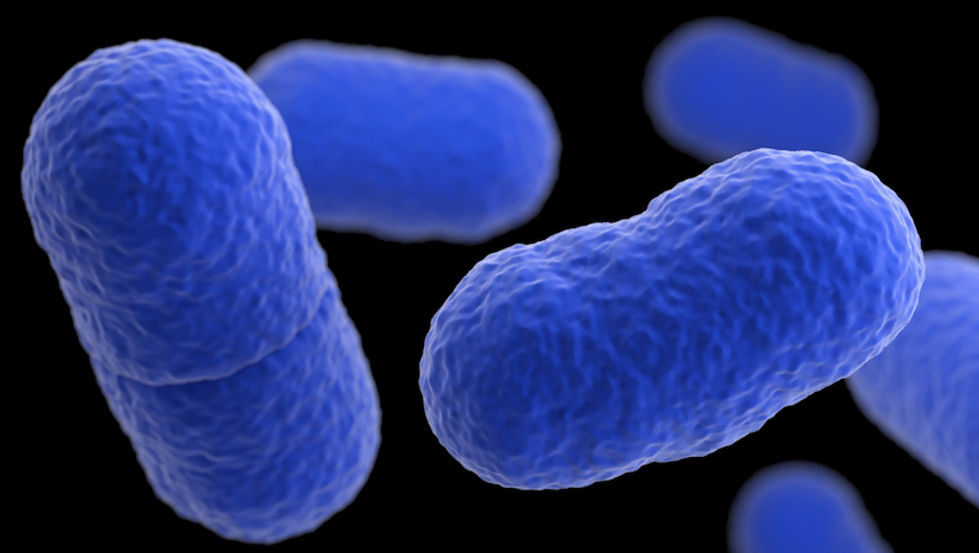 A 3D, computer-generated image of Listeria monocytogenes bacteria, based on SEM imagery. / Credit: CDC/ James Archer