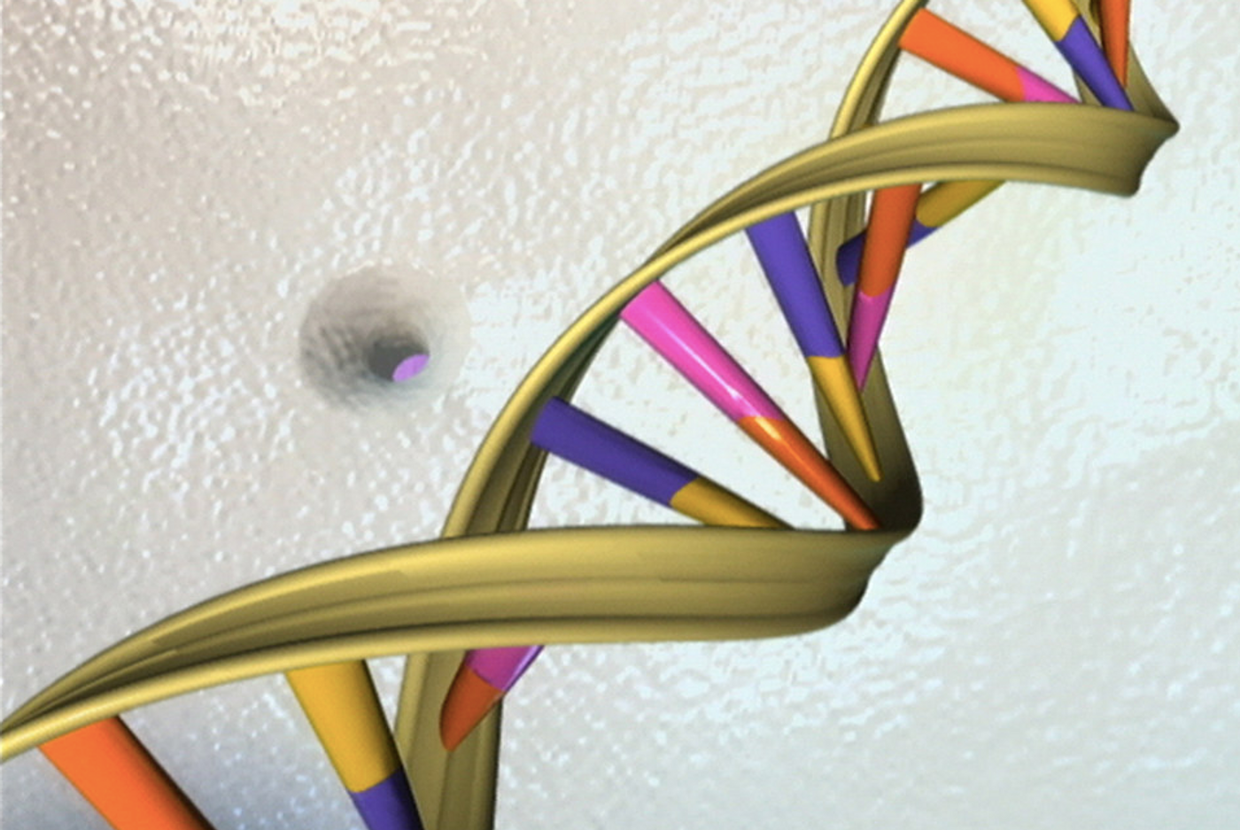 	 NIH Image Gallery DNA Double Helix / Credit: National Human Genome Research Institute, National Institutes of Health.