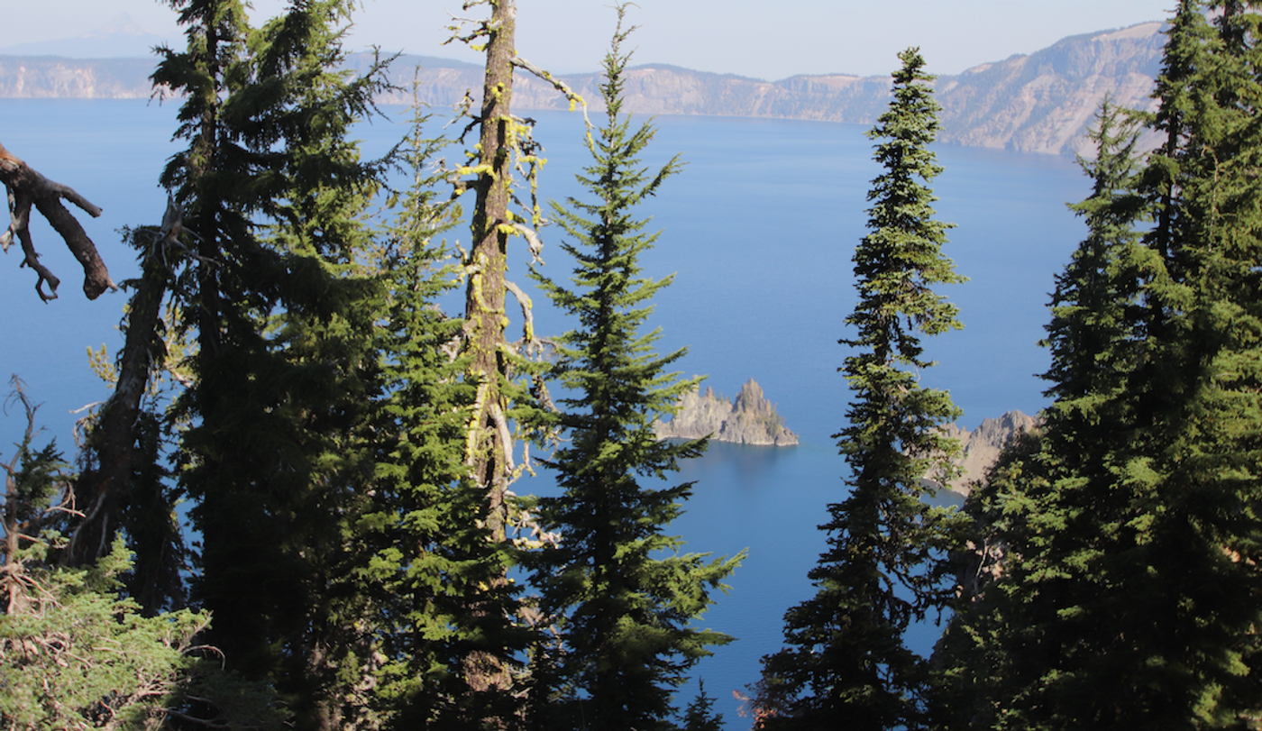 Trees surround Crater Lake in Oregon / Image credit: Carmen Leitch