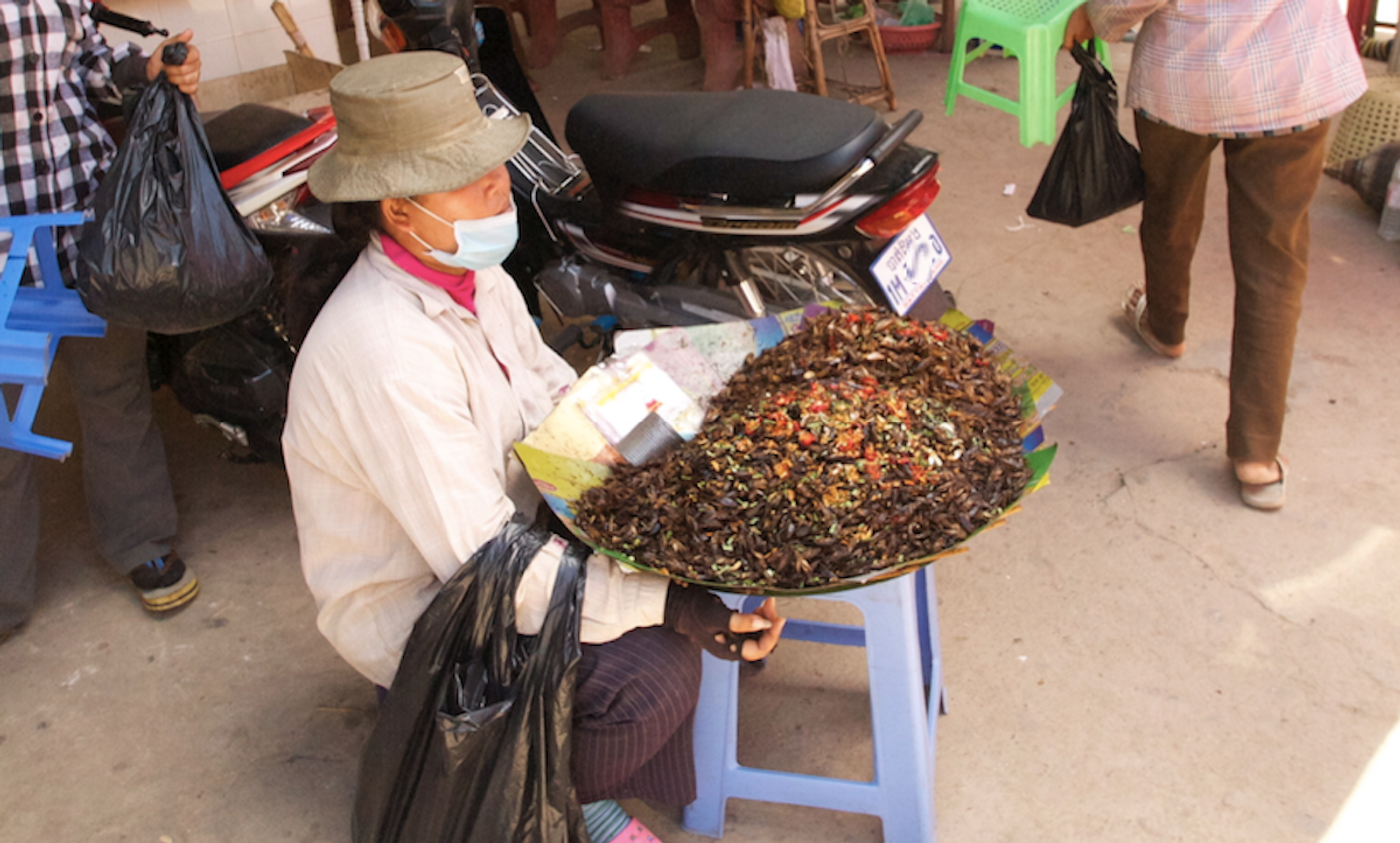 In Cambodia, roasted insects are sold as a snack. / Credit: Carmen Leitch