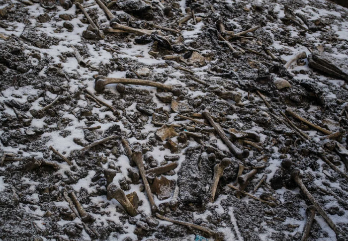 Skeletal elements scattered around the Roopkund Lake site. / Credit: Photo by Atish Waghwase / Harney et al Nature Communications 2019