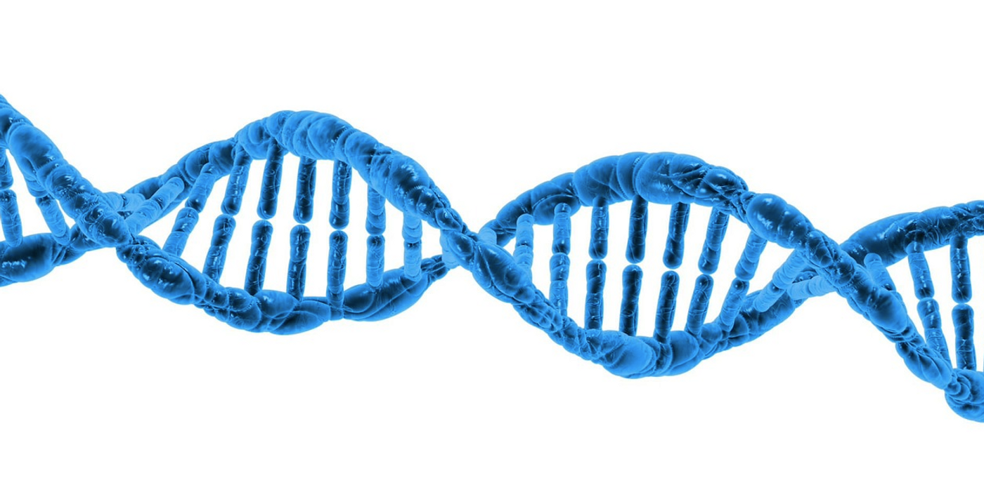 One in 500 Men Carry an Extra Sex Chromosome | Genetics And Genomics