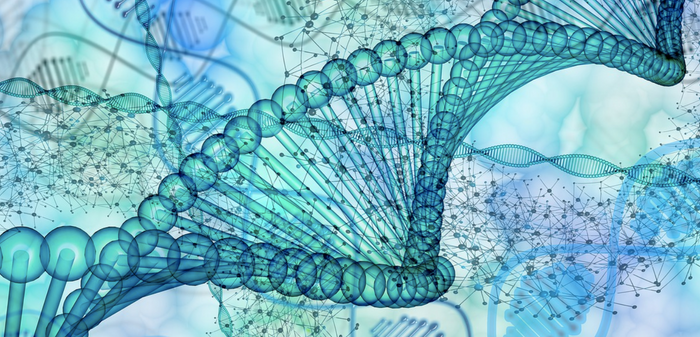 Revealing the Genome Carried by the Common Ancestor to all Mammals