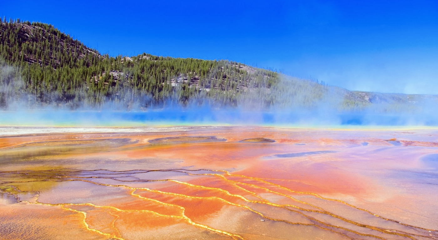 Some archaea are extremophiles, such as those that live in the Grand Prismatic Spring / Image credit: Pixabay