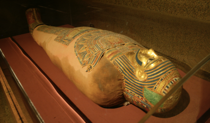 Some Egyptian mummies have had signs of smallpox infection / Credit: Carmen Leitch