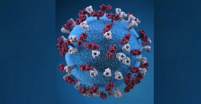 An illustration of a measles virus particle. Tubercular studs (maroon) are H-proteins (hemagglutinin); F-proteins (grey).  / Credit: CDC/ Allison M. Maiuri, MPH, CHES / Illustrator: Alissa Eckert