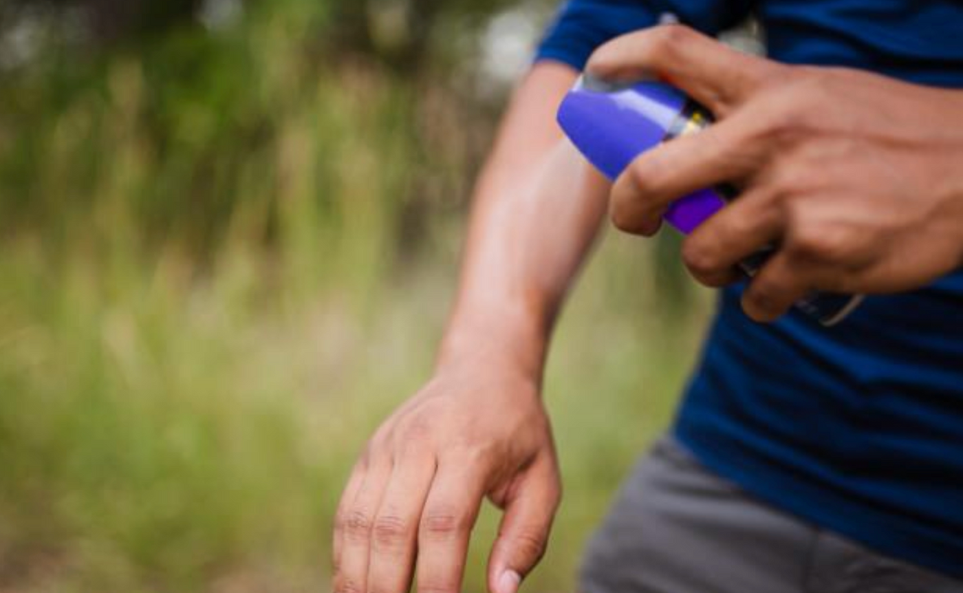 Image credit: CDC/ Amy E. Lockwood, MS; Division of Vector-Borne Diseases / Photo Credit: Patrick Edmiston-Photography