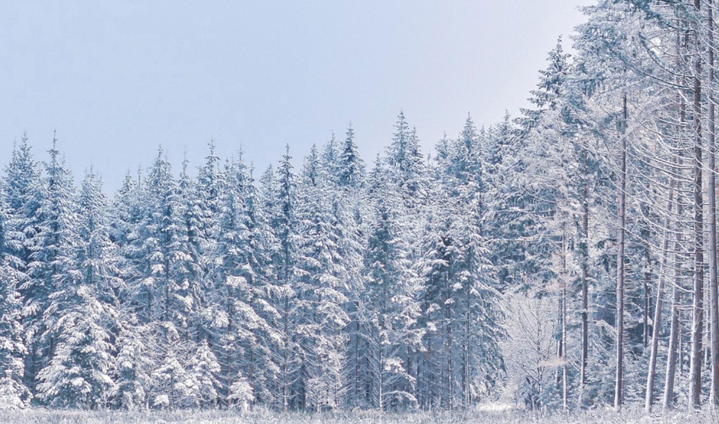 Image credit: Pixabay