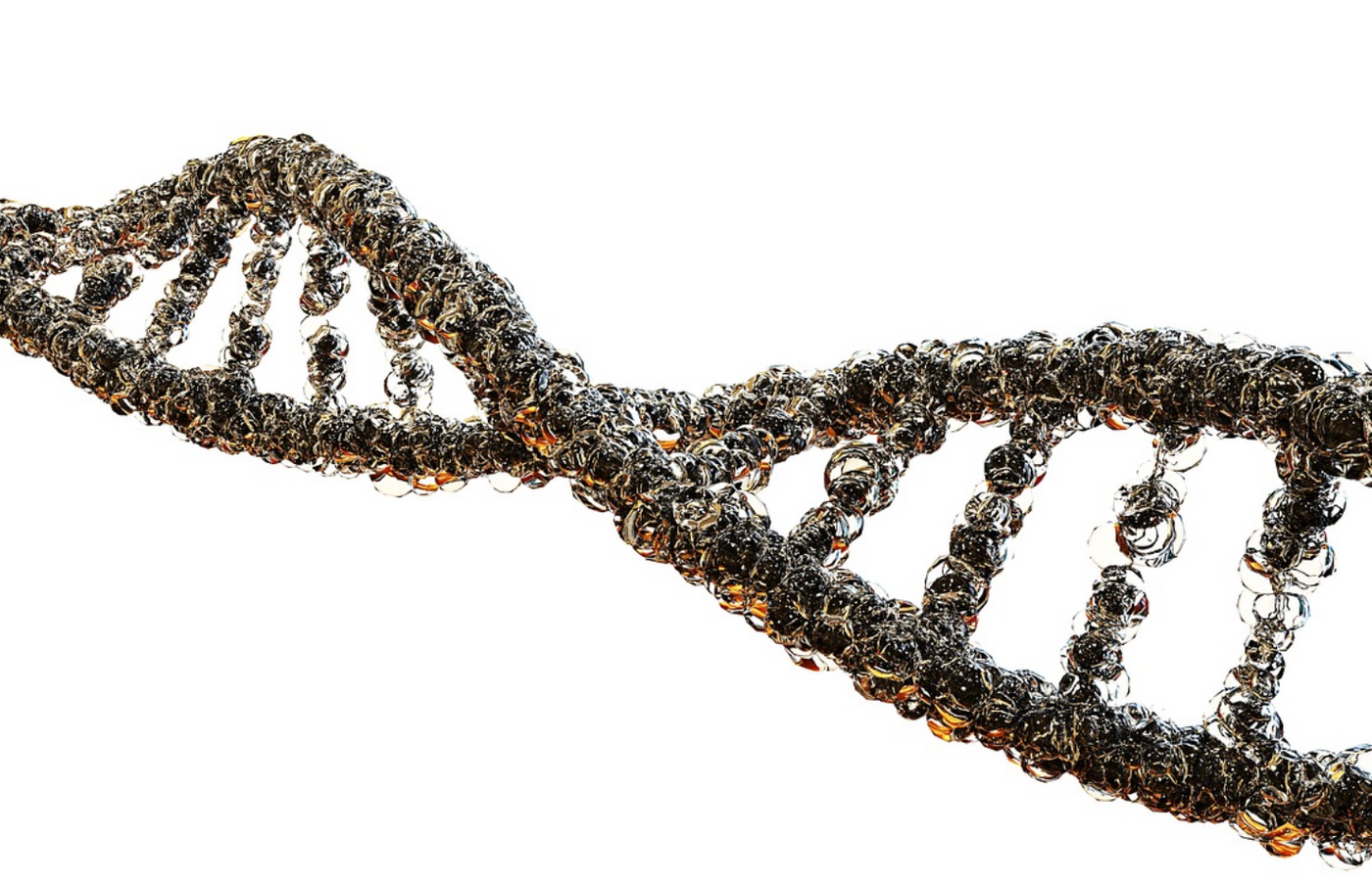 Image credit: Pixabay