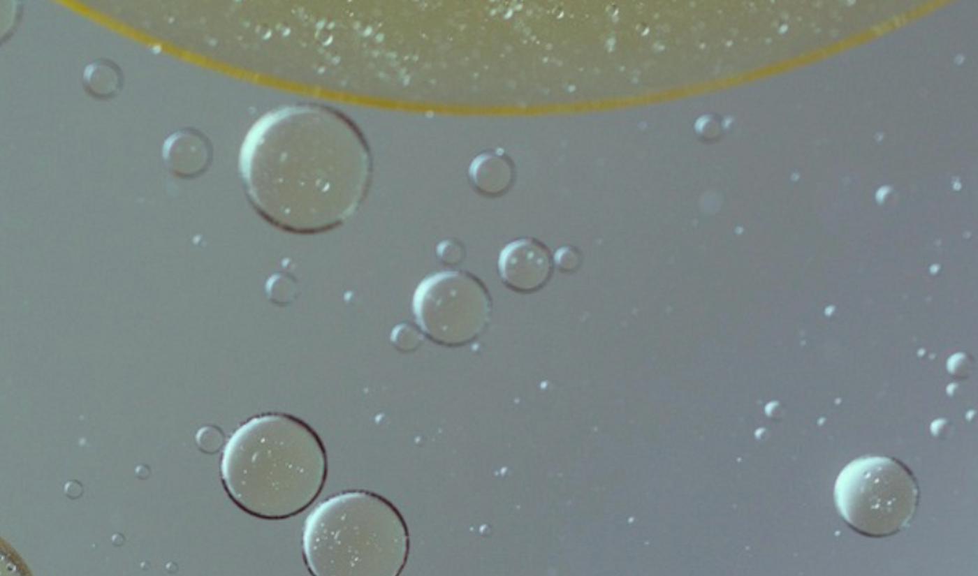 Image credit: Pixabay