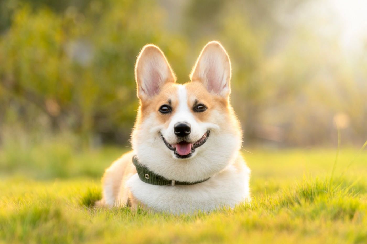 Image credit: Pixabay