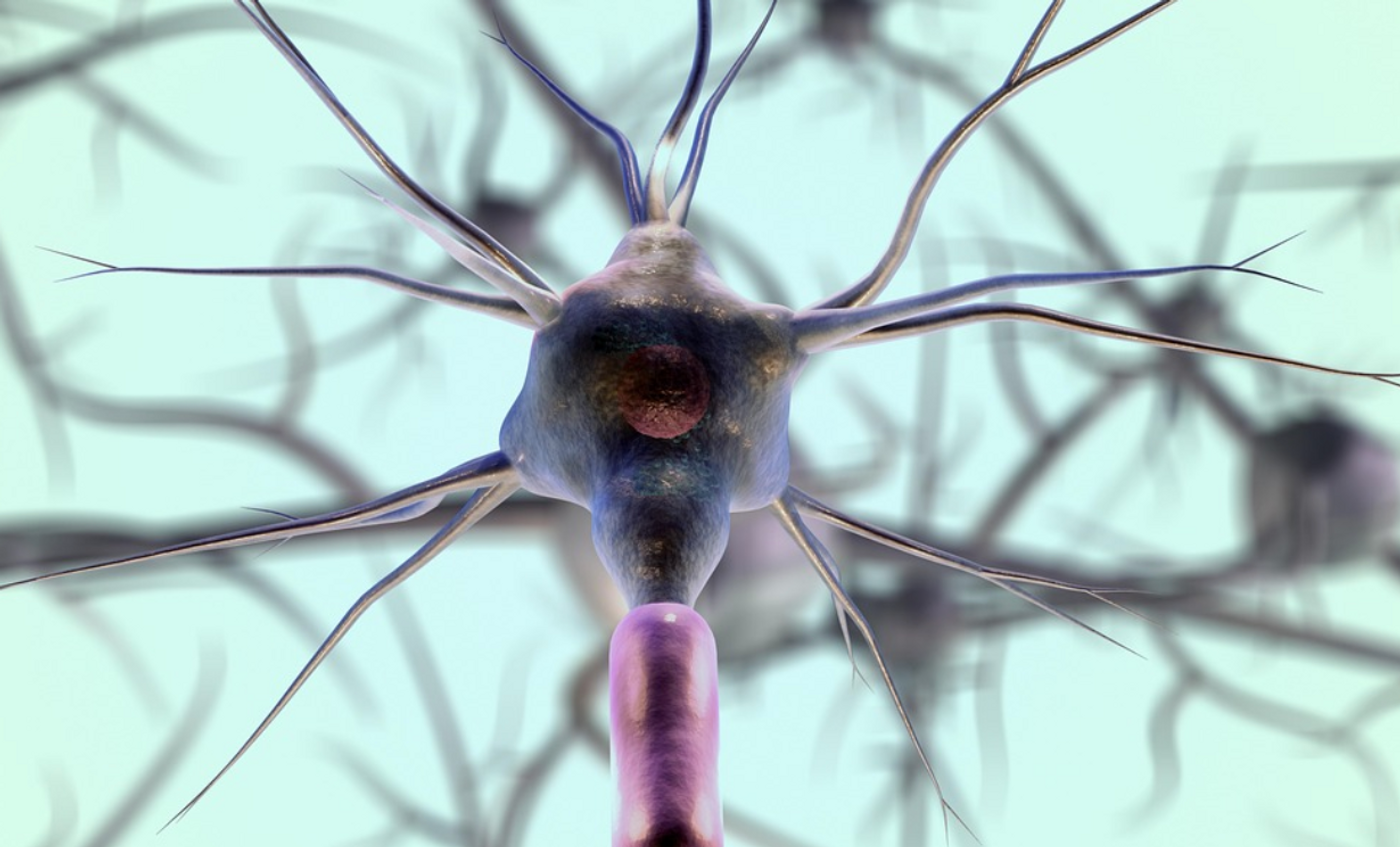 Image credit: Pixabay