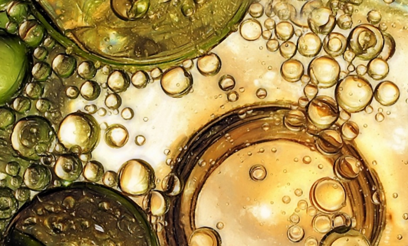 Image credit: Pixabay