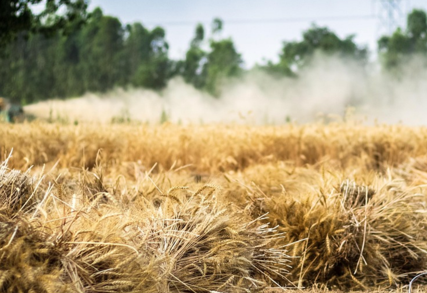 Image credit: Pixabay