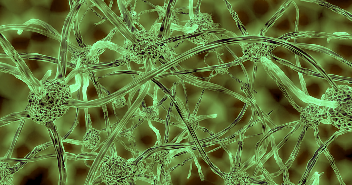 Image credit: Pixabay