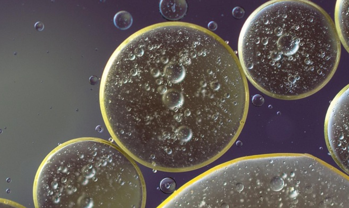 Image credit: Pixabay