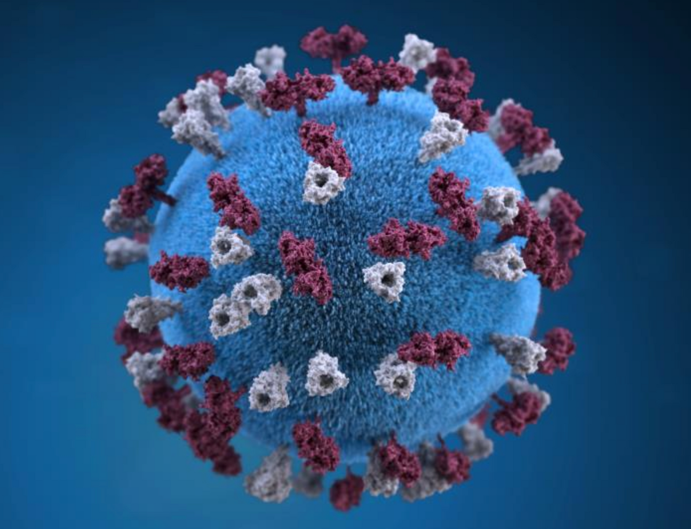 A 3D graphic representation of a measles virus particle / Credit: CDC/ Allison M. Maiuri, MPH, CHES / Illustrator: Alissa Eckert