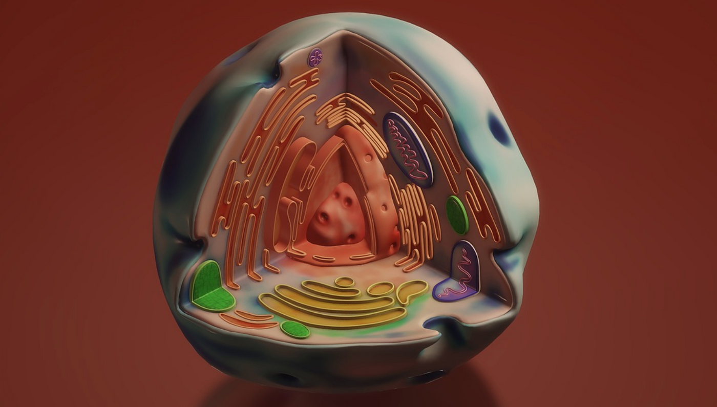 Image credit: Pixabay