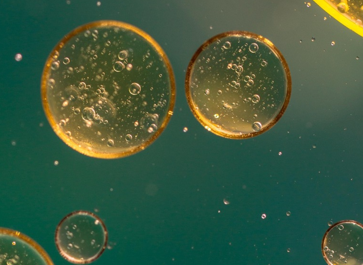 Image credit: Pixabay