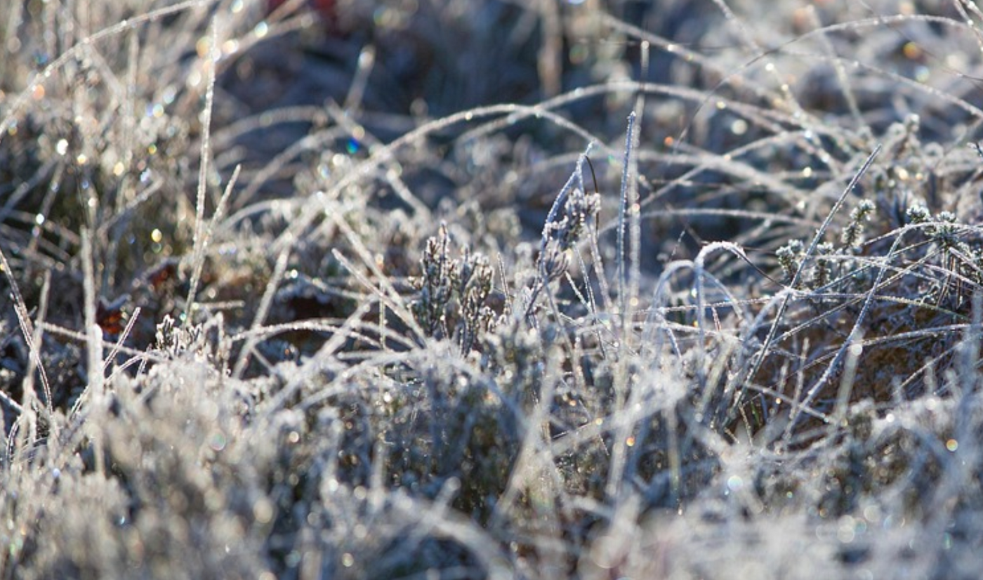 Image credit: Pixabay