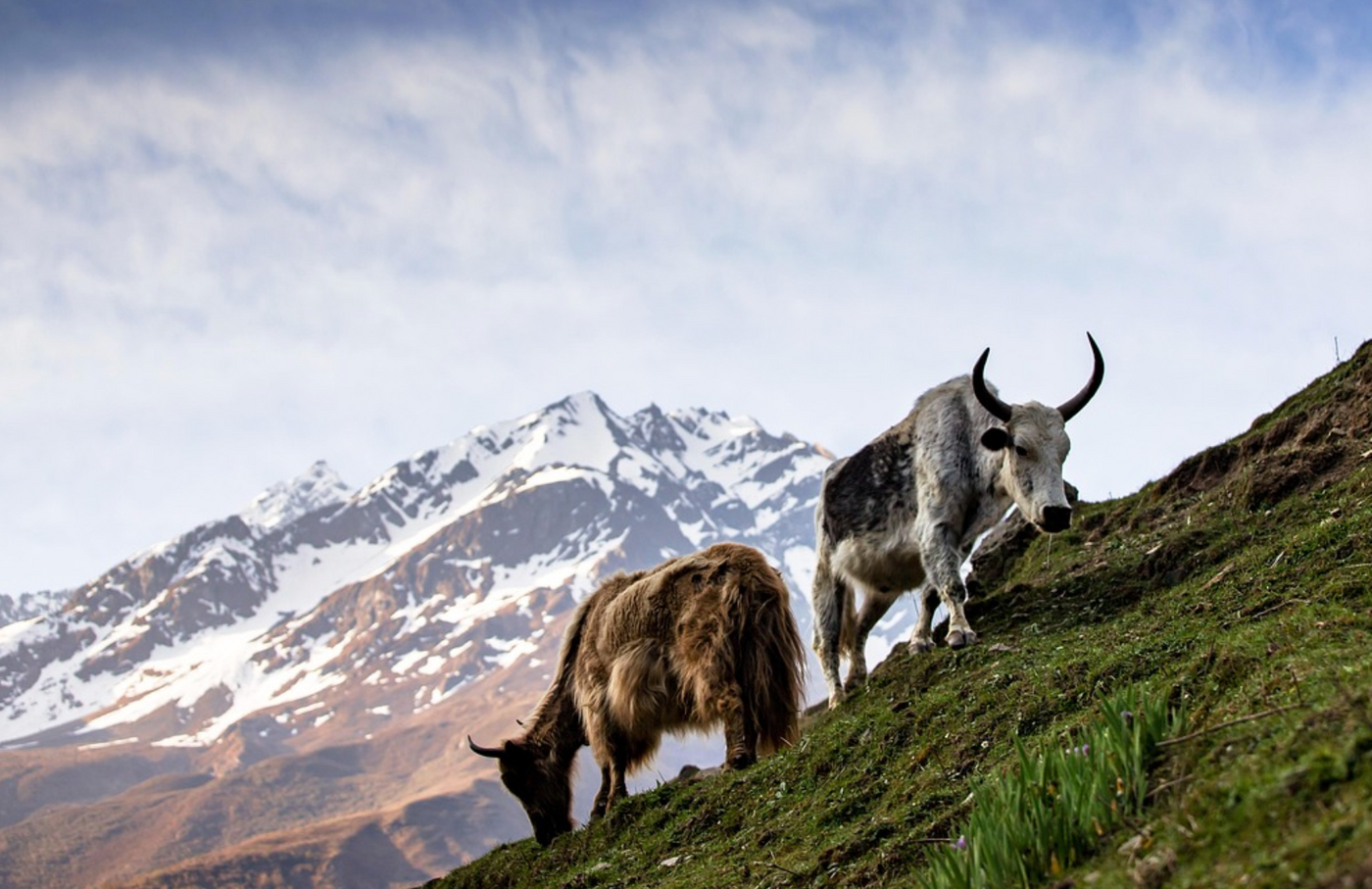 Image credit: Pixabay