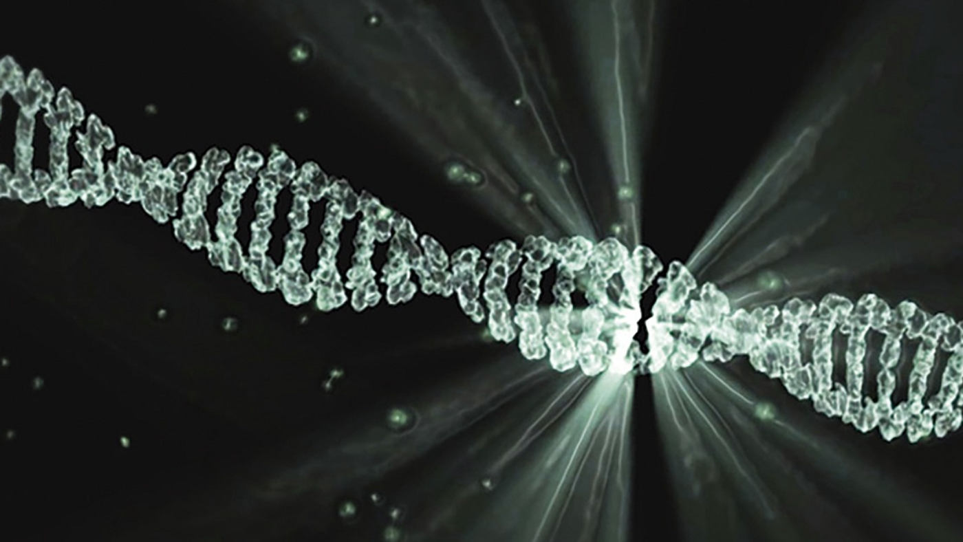 Image credit: Pixabay