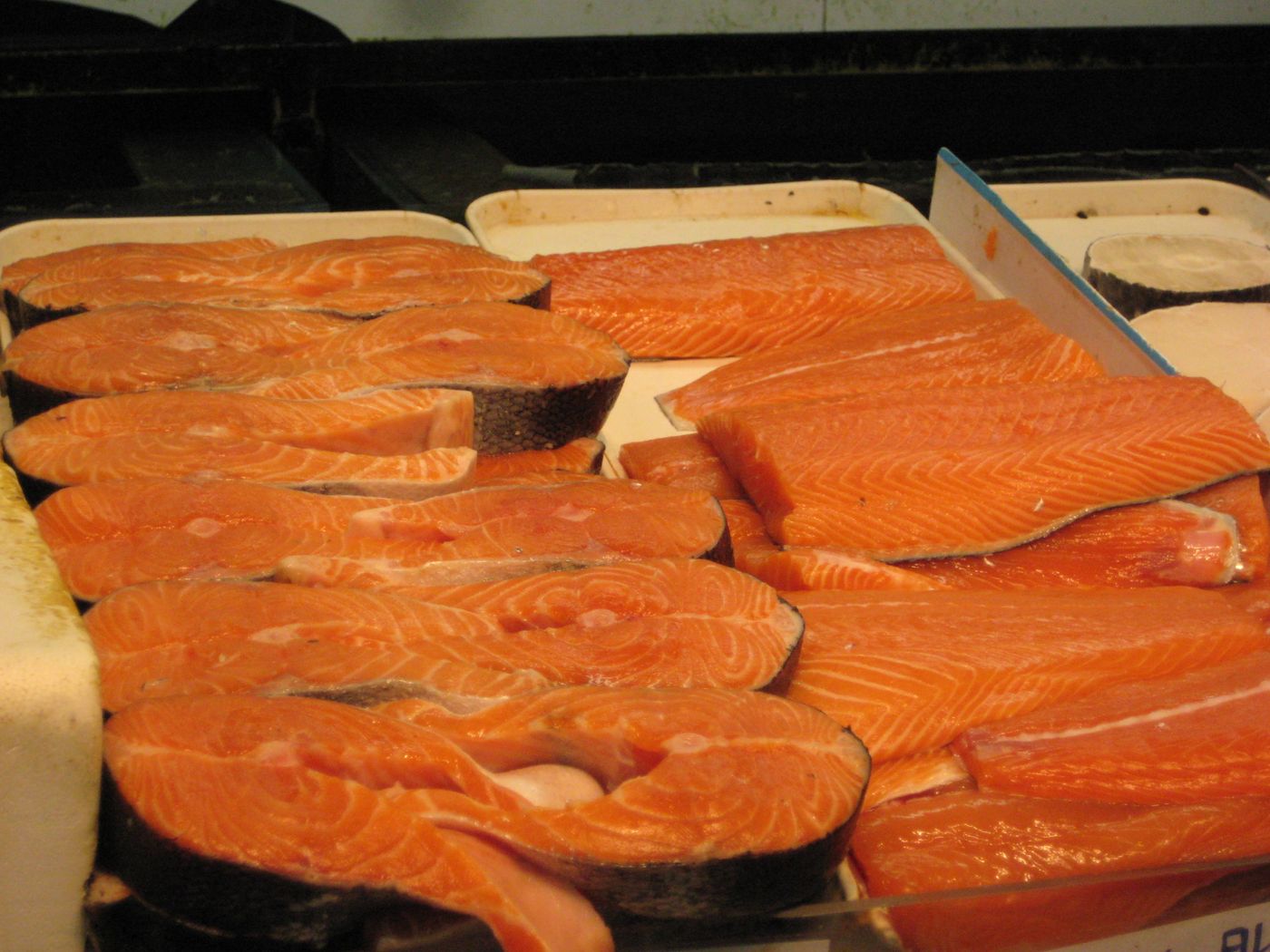 Canada approves GM salmon for sale in public supermarkets.