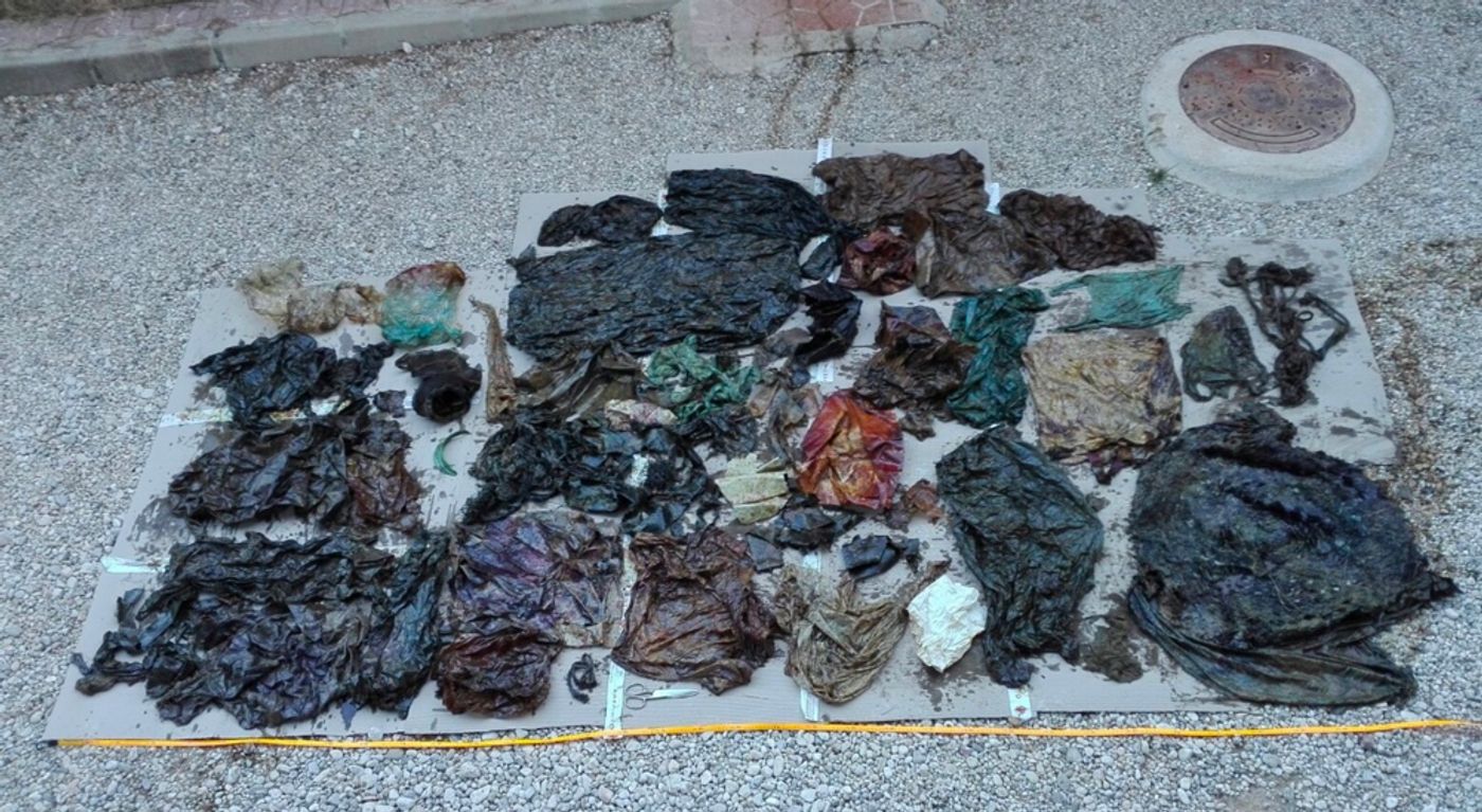 The trash extracted from the whale's digestive system is laid out for display.
