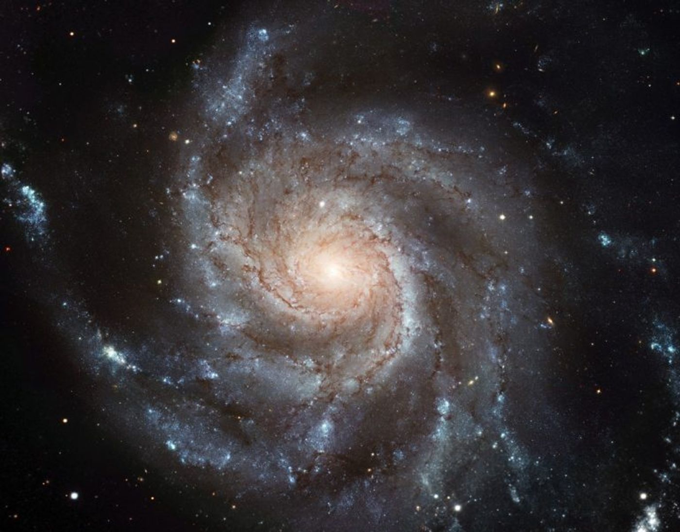 Galaxies like this one, no matter their size, seem to rotate at similar rates.