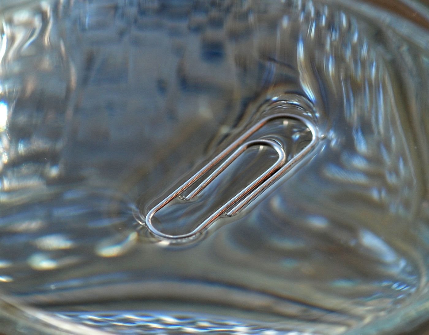 A paperclip floating on the surface of water using surface tension.
