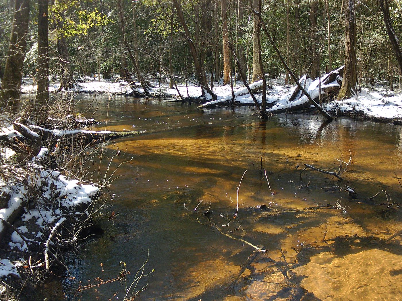 Tinker Creek, one of 11 sites surveyed