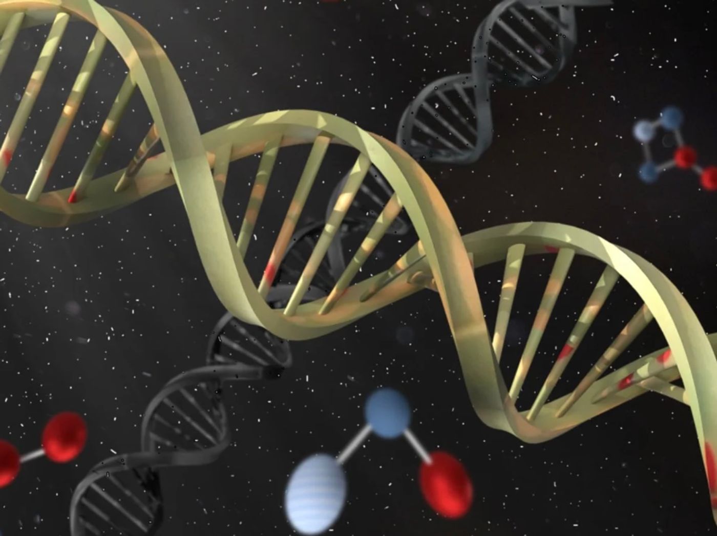 Image credit: Pixabay