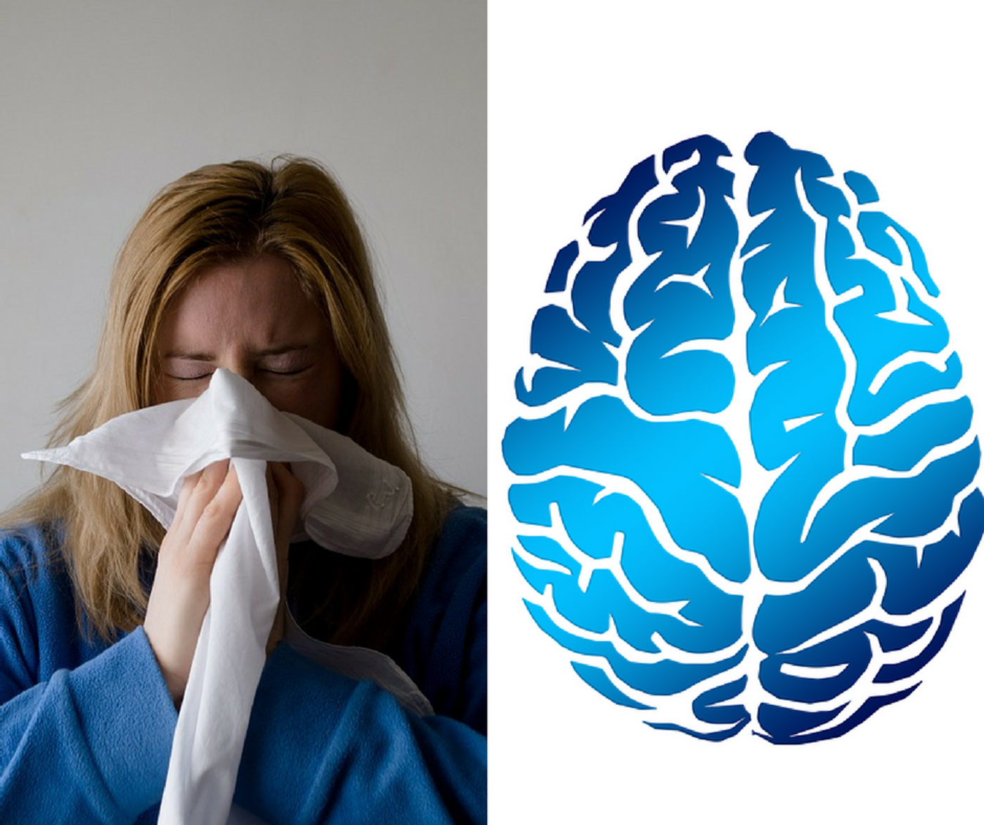 How are common allergic diseases linked to psychiatric disorders?