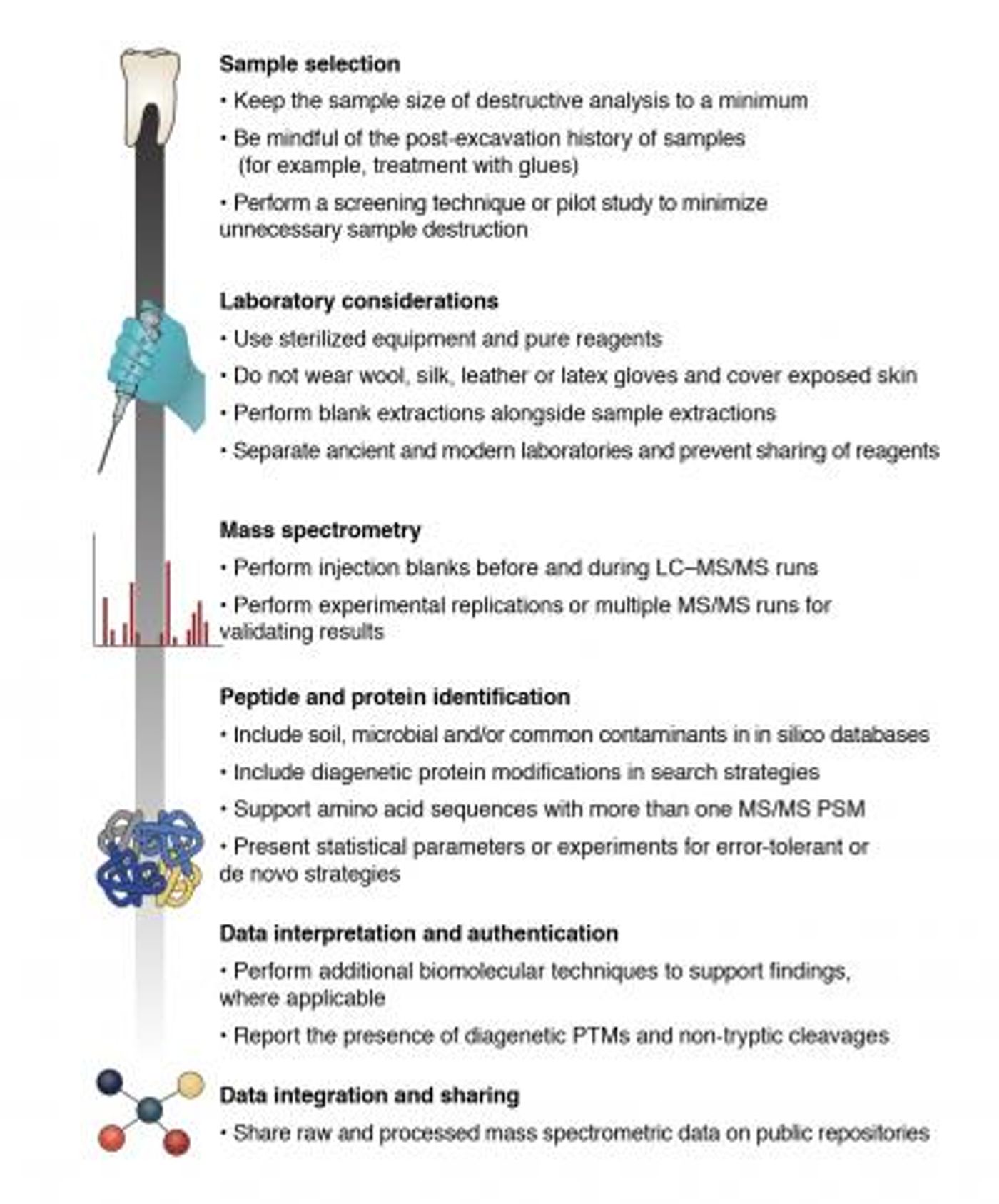 Crucial aspects of a palaeoproteomics workflow, from sample selection to data sharing. / Credit: Hendy et al. A Guide to Ancient Protein Studies. Nature Ecology & Evolution (2018)